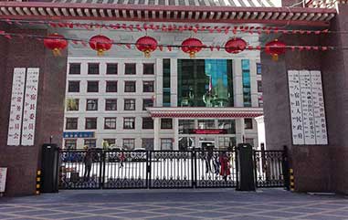 八宿县人民政府-开泰LH - 中出庭院别墅大门网